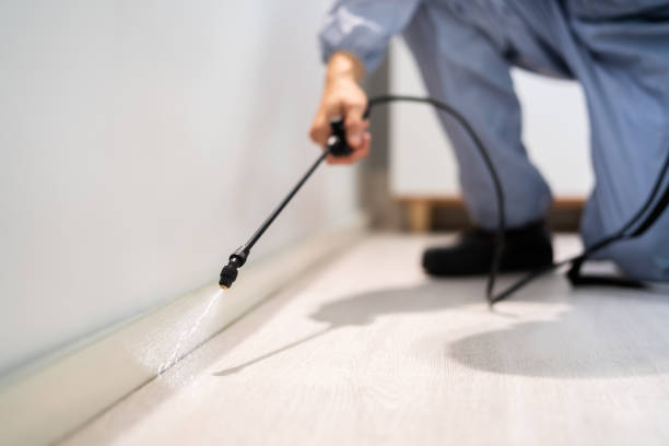 Professional exterminator conducting IPM assessment in Parma Heights